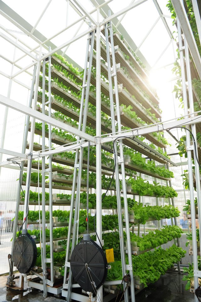 Vertical Farming – The Only Way is Up – Newbie Science